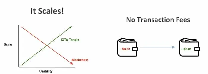 Schaalbaarheid IOTA en geen transactiekosten
