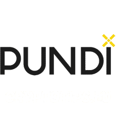 Pundi X (NPXS) Logo