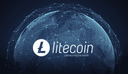 Litecoin halving header