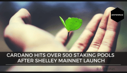 Cardano hits over 500 staking pools after Shelley mainnet launch