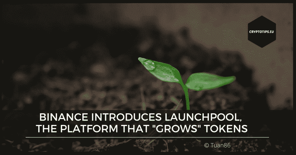 Binance introduces Launchpool, the platform that "grows" tokens