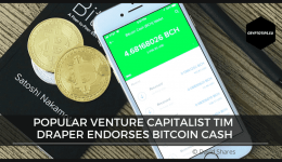 Finance investment magnate Tim Draper endorses Bitcoin Cash (BCH)