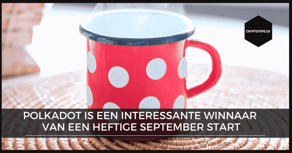 Polkadot (DOT) een interessante winnaar van een heftige september start