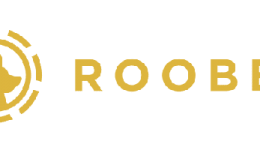 Roobet Review