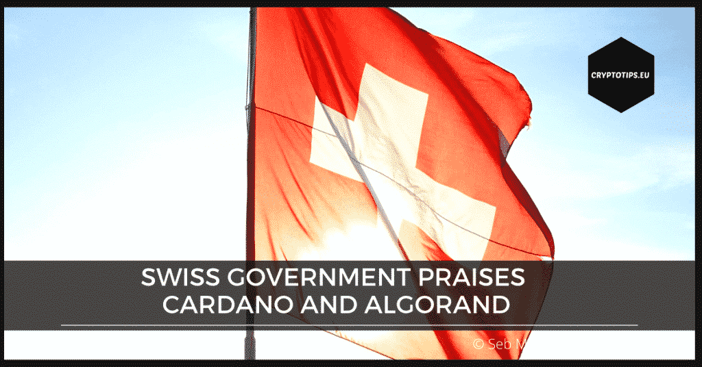 Swiss government praises Cardano and Algorand