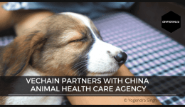 VeChain partners with China Animal Health care agency