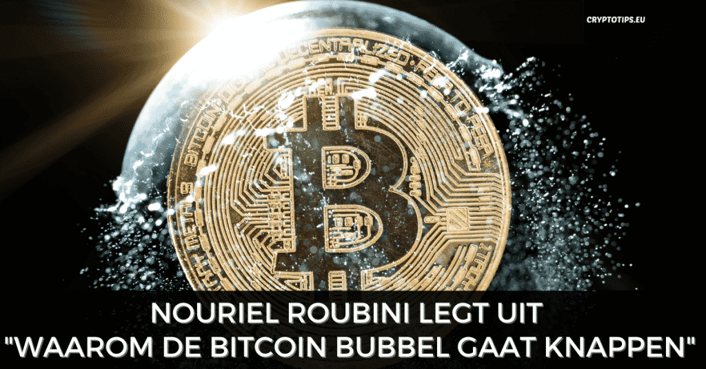 Nouriel Roubini legt uit "waarom de Bitcoin bubbel gaat knappen"