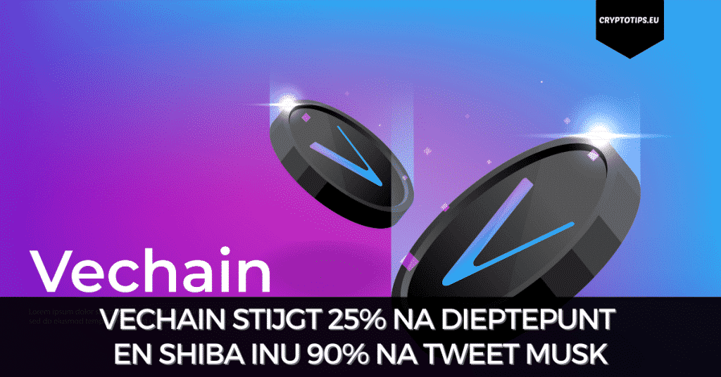 VeChain stijgt 25% na dieptepunt en Shiba Inu 90% na tweet Musk