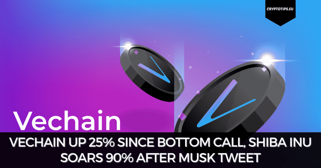 VeChain Up 25% Since Bottom Call, Shiba Inu Soars 90% After Musk Tweet