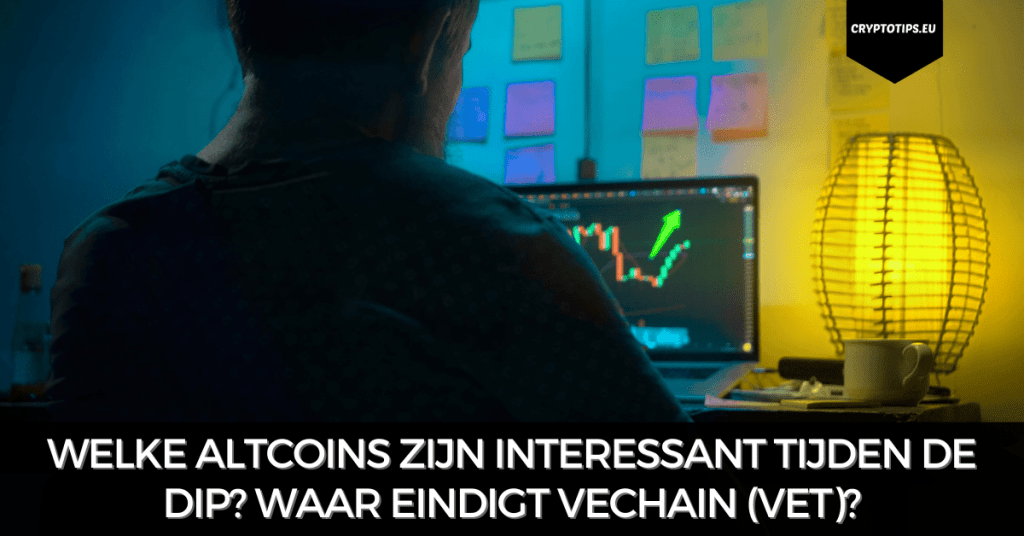 Welke altcoins zijn interessant tijden de dip? Waar eindigt VeChain (VET)?