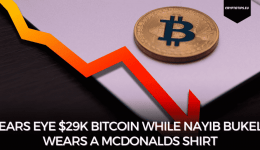 Bears Eye $29k Bitcoin While Nayib Bukele Wears A McDonalds Shirt