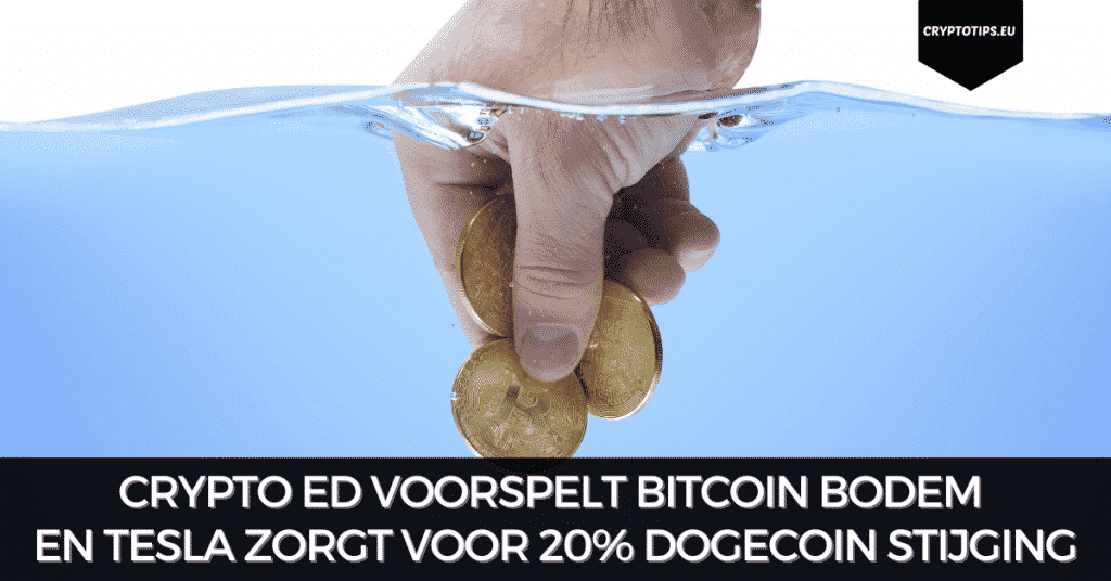 Crypto Ed voorspelt Bitcoin bodem en Tesla zorgt voor 20% Dogecoin stijging