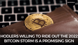 HODLers Willing To Ride Out The 2022 Bitcoin Storm Is A Promising Sign