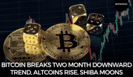 Bitcoin Breaks Two Month Downward Trend, Altcoins Rise, Shiba Moons