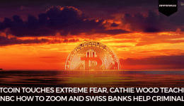 Bitcoin Touches Extreme Fear, Cathie Wood Teaches CNBC How To Zoom And Swiss Banks Help Criminals