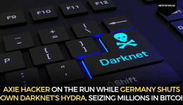 Axie Hacker On The Run While Germany Shuts Down Darknet’s Hydra, Seizing Millions In Bitcoin