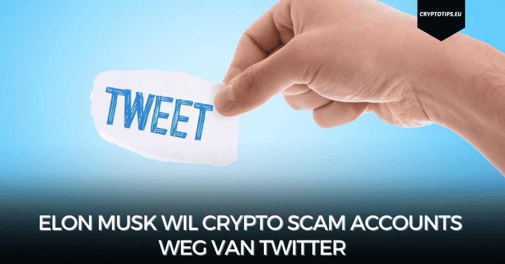 Elon Musk wil crypto scam accounts weg van Twitter