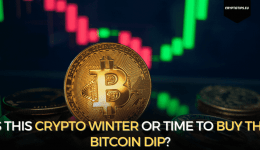 Is This Crypto Winter Or Time To Buy The Bitcoin Dip?