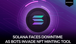 Solana Faces Downtime as Bots Invade NFT Minting Tool