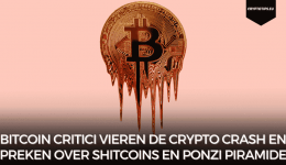 Bitcoin critici vieren de crypto crash en spreken over shitcoins en Ponzi piramides