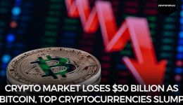 Crypto market loses $50 Billion as Bitcoin, top cryptocurrencies slump