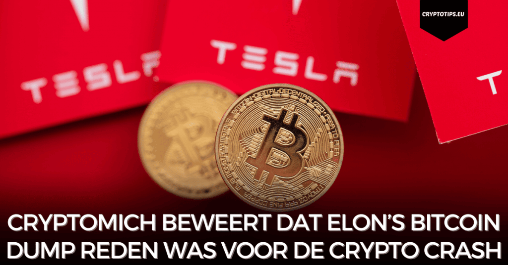 Cryptomich beweert dat Elon’s Bitcoin dump reden was voor de crypto crash