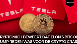 Cryptomich beweert dat Elon’s Bitcoin dump reden was voor de crypto crash