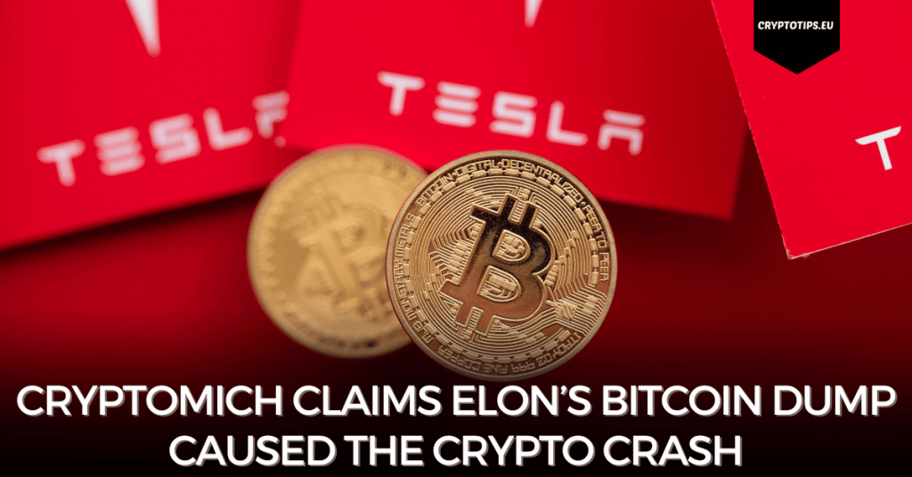 Cryptomich Claims Elon’s Bitcoin Dump Caused The Crypto Crash