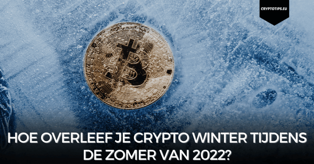 Hoe overleef je crypto winter tijdens de zomer van 2022?