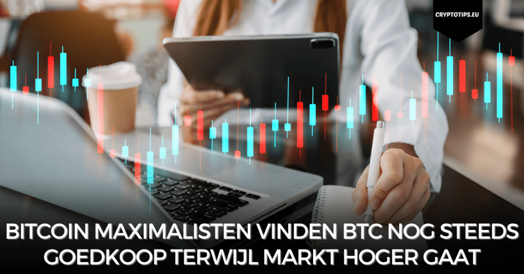 Bitcoin Maximalisten vinden BTC nog steeds goedkoop terwijl markt hoger gaat