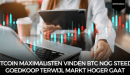 Bitcoin Maximalisten vinden BTC nog steeds goedkoop terwijl markt hoger gaat