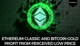 Ethereum Classic and Bitcoin Gold Profit From Perceived Low Price