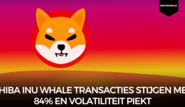 Shiba Inu whale transacties stijgen met 84% en volatiliteit piekt