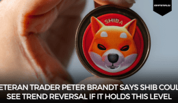 Veteran Trader Peter Brandt Says SHIB Could See Trend Reversal if it Holds this Level