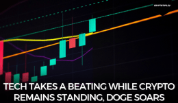 Tech takes a beating while Crypto remains standing, Doge soars