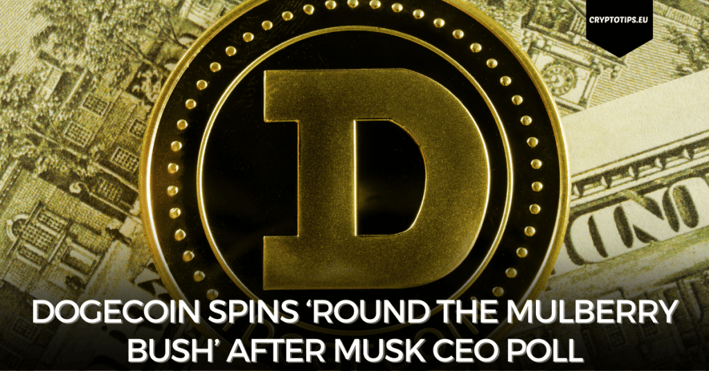 Dogecoin Spins ‘Round The Mulberry Bush’ After Musk CEO Poll