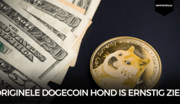 Originele Dogecoin hond is ernstig ziek