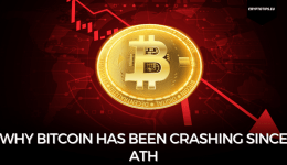 Why Bitcoin Has Been Crashing Since ATH