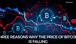 Three reasons why the price of Bitcoin is falling