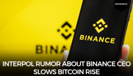 Interpol rumor about Binance CEO slows Bitcoin rise