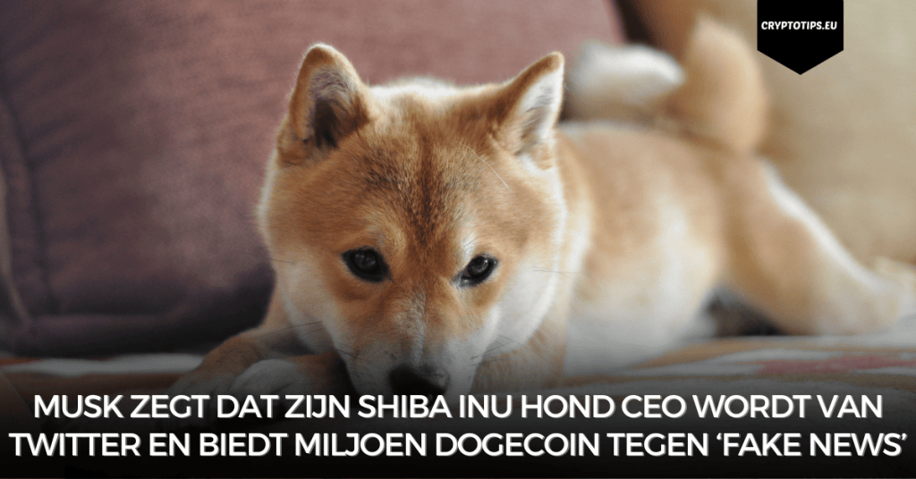 Musk zegt dat zijn Shiba Inu hond CEO wordt van Twitter en biedt miljoen Dogecoin tegen ‘fake news’