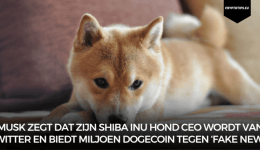 Musk zegt dat zijn Shiba Inu hond CEO wordt van Twitter en biedt miljoen Dogecoin tegen ‘fake news’