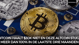 Bitcoin haalt $30k niet en deze altcoin stijgt meer dan 100% in de laatste drie maanden