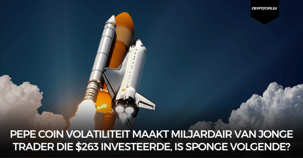 Pepe coin volatiliteit maakt miljardair van jonge trader die $263 investeerde, Is Sponge volgende?