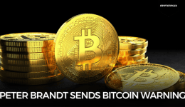 Peter Brandt sends Bitcoin warning