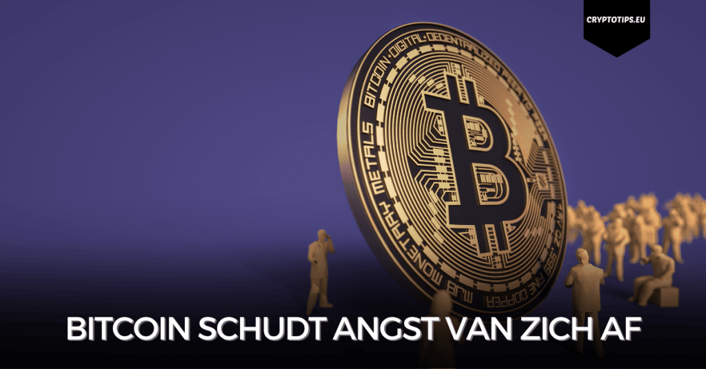 Bitcoin schudt angst van zich af