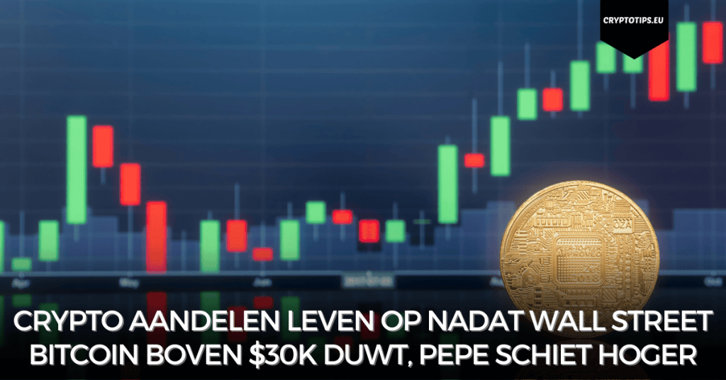 Crypto aandelen leven op nadat Wall Street Bitcoin boven $30k duwt, Pepe schiet hoger