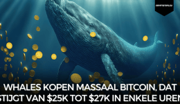 Whales kopen massaal Bitcoin, dat stijgt van $25k tot $27k in enkele uren