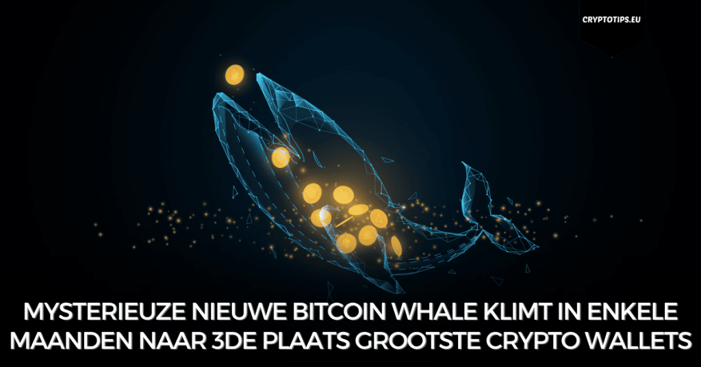 Mysterieuze nieuwe Bitcoin Whale klimt in enkele maanden naar 3de plaats grootste crypto wallets