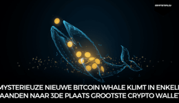 Mysterieuze nieuwe Bitcoin Whale klimt in enkele maanden naar 3de plaats grootste crypto wallets